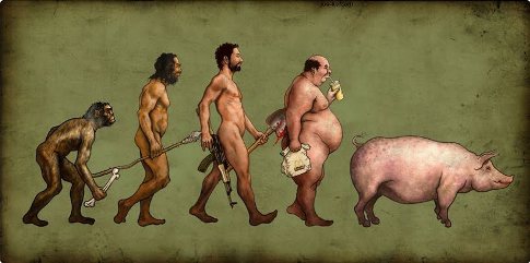 man evolves into pigs man evolves into pigs